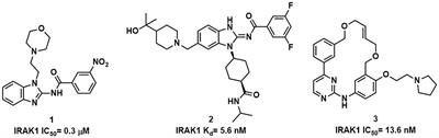 Evaluation of Artificial Intelligence in Participating Structure-Based Virtual Screening for Identifying Novel Interleukin-1 Receptor Associated Kinase-1 Inhibitors